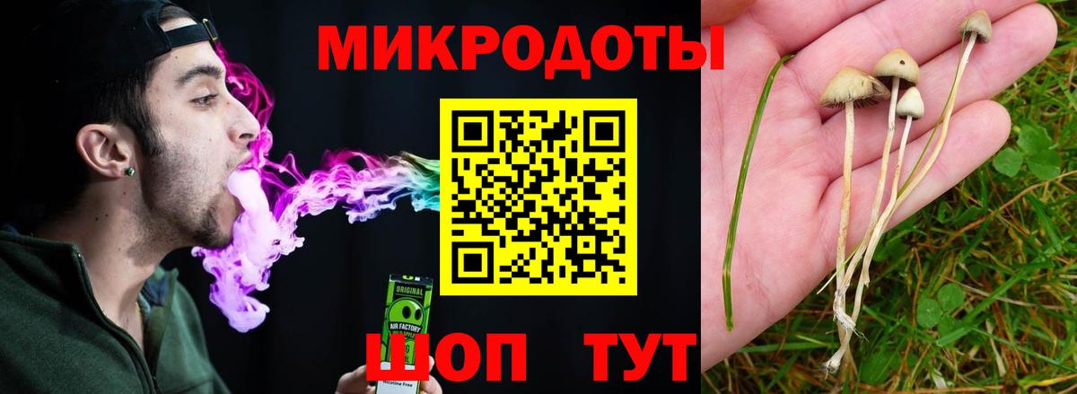 Галлюциногенные грибы Psilocybe Анапа